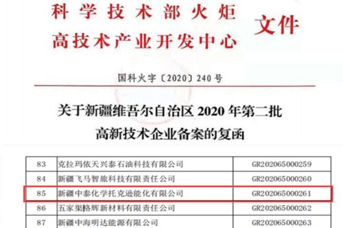 托克遜能化榮獲自治區(qū)第二批高新技術(shù)企業(yè)認(rèn)定，知識(shí)產(chǎn)權(quán)服務(wù)助力創(chuàng)新發(fā)展